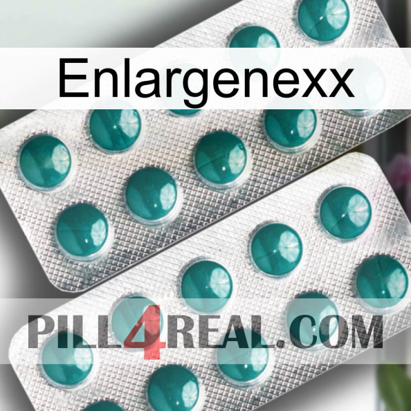 Enlargenexx dapoxetine2.jpg